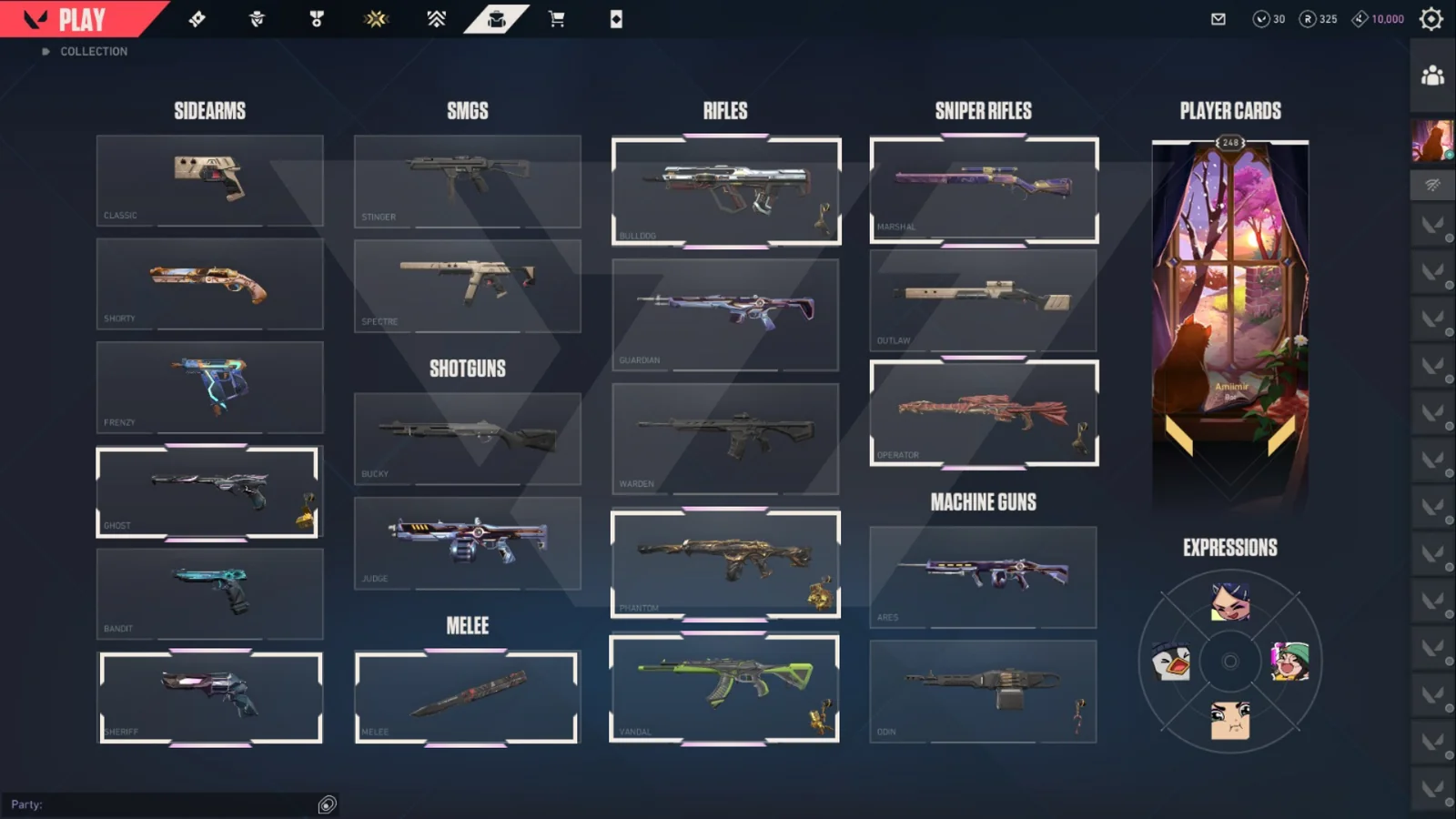 Platinum 2 Valorant account VAL-5517 screenshot 1