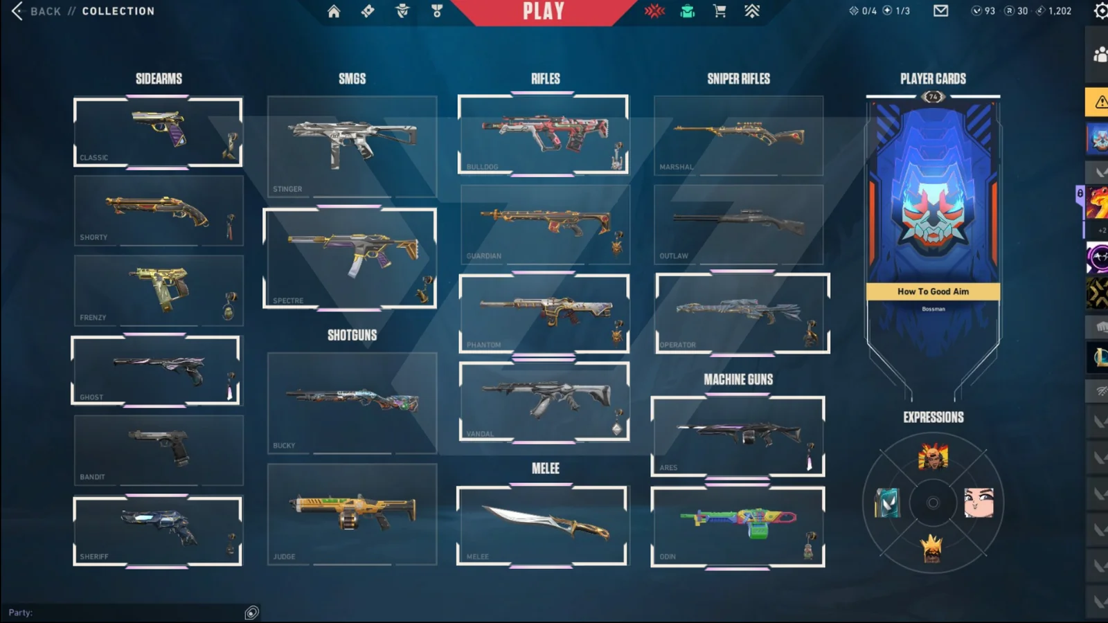 Silver 1 Valorant account VAL-2246 screenshot 1